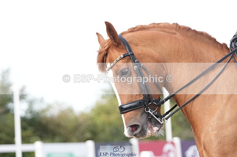 250906-141645-03948 - 107-Lorna.O'HareDBS.second.chance