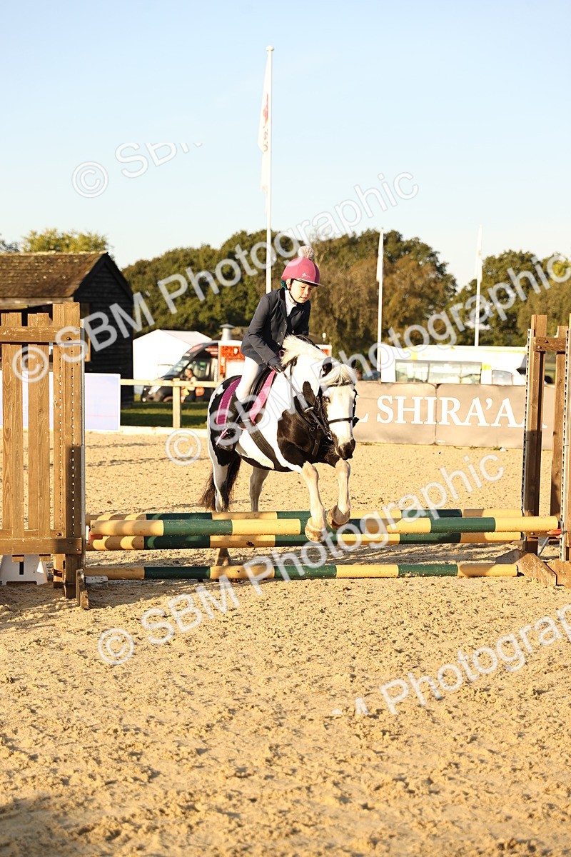 SBM_57126 - J11 - Junior Pony 50cm Championship