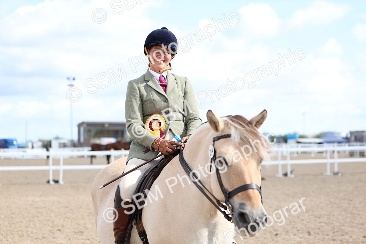 SBM_10896 - Class 305 - Ridden Foreign Breeds - Pure Bred