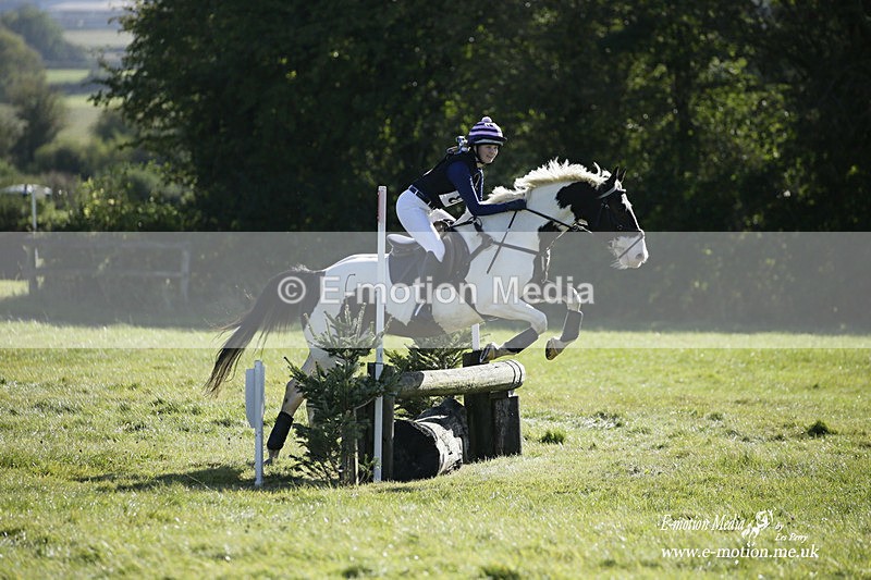  WWHT 031021 780 - WWEC Novice Restricted (0.80m) 18/10/20