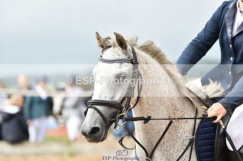 230902A-115542-00871 - Cls 2B Pony Small 80cm