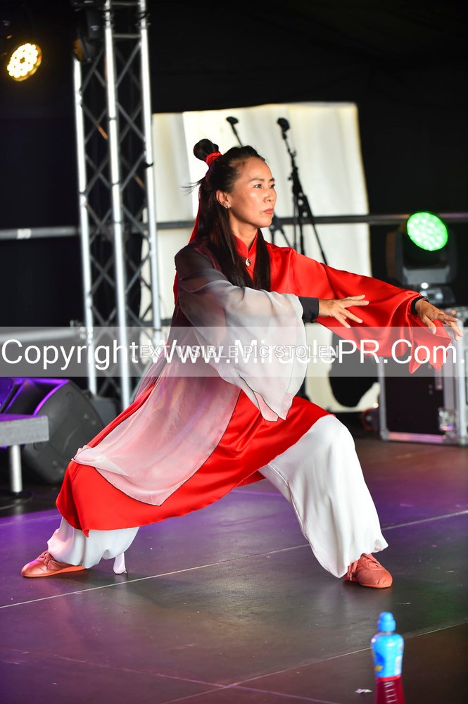 SH4_1480 - Tai Chi with Lisa Kay.
