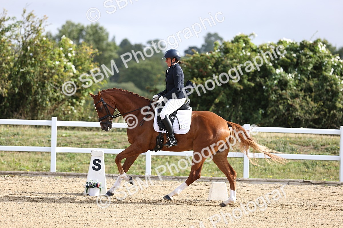 SBM_015342 - Class 14 - Novice 23 - 9.05-10.08