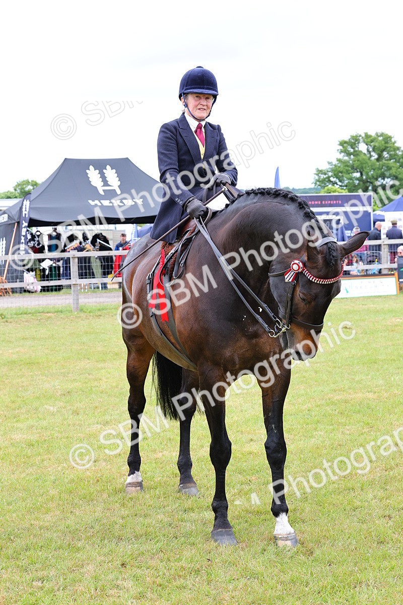 SBM_02970 - Class 9-11 Side Saddle including LIHS Rising Star Ladies Show Horse