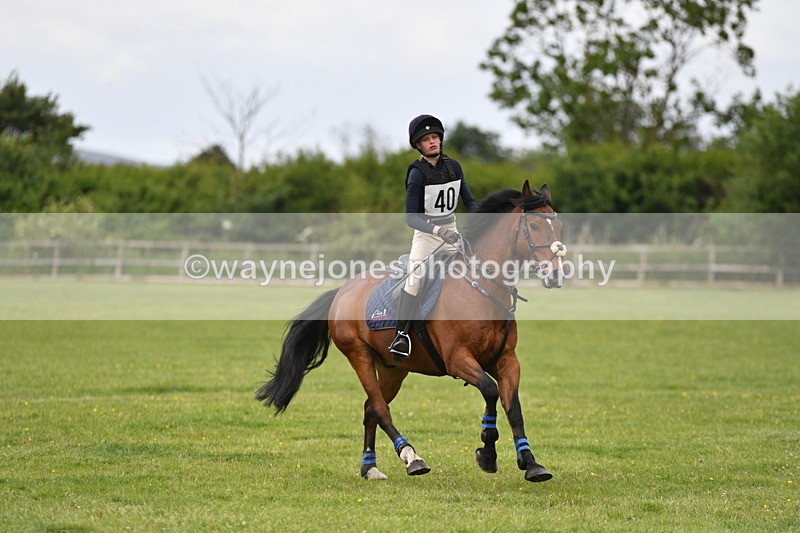 WJ5_3770 - Class 6 80cm