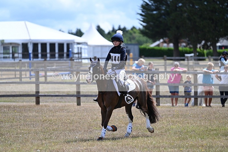 WJ7_1260 - 60cm Time 12:53 to 13:19