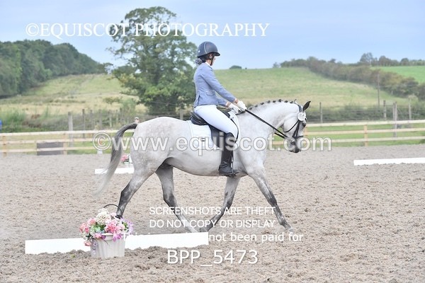 BPP_5473 - INTRO TEST 3