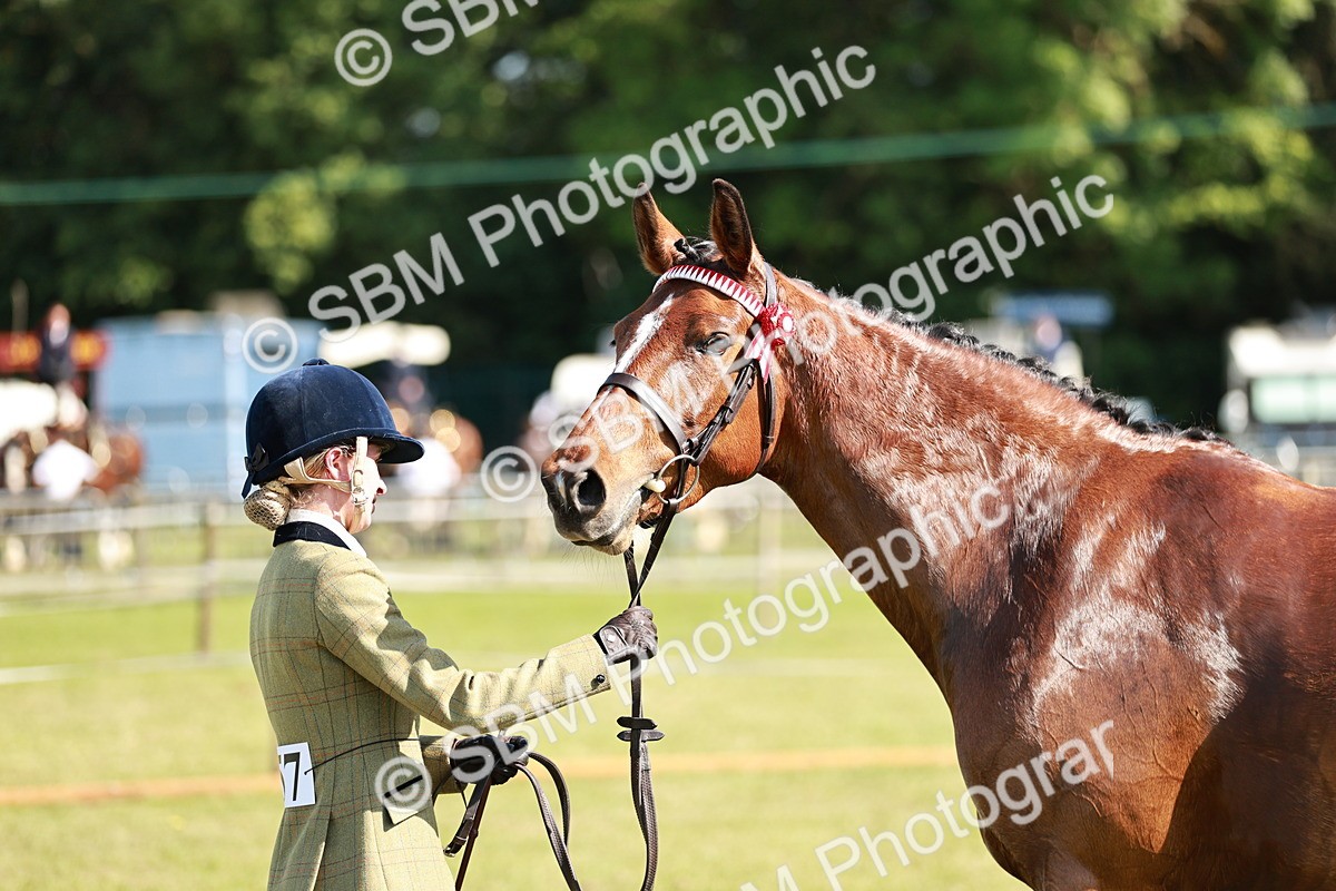 SBM_18932 - Class 114 - RIHS & SEIB Open Working Show Horse