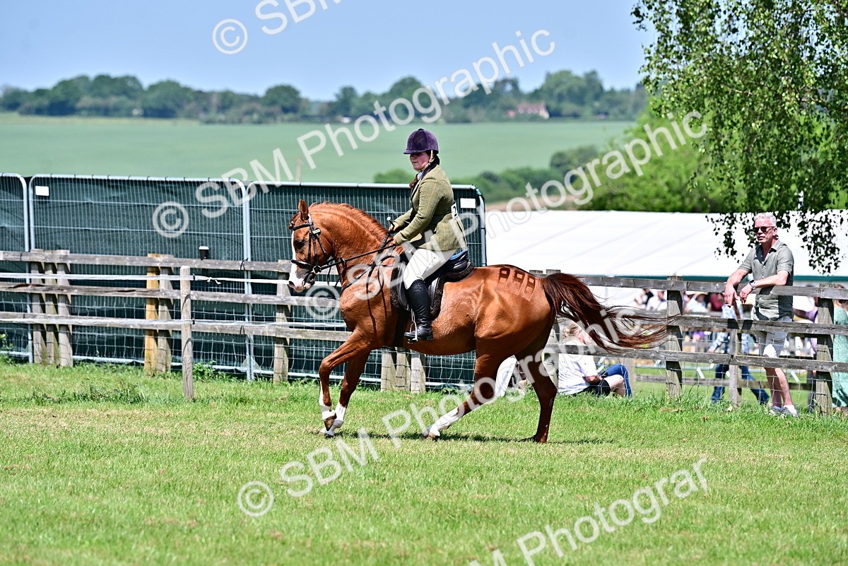 SBM_17455 - Class 95-97 - BSPS LHS Performance Ponies