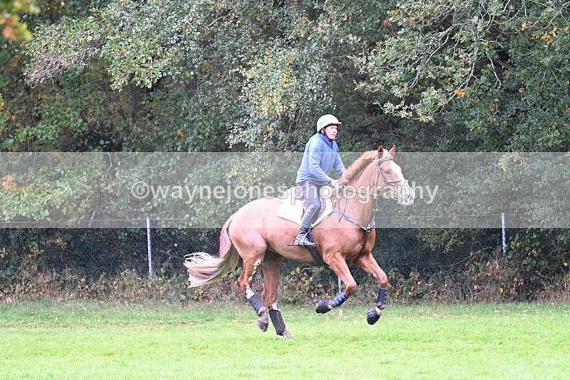 WJ7_5221 - Time 13:00 to 13:18