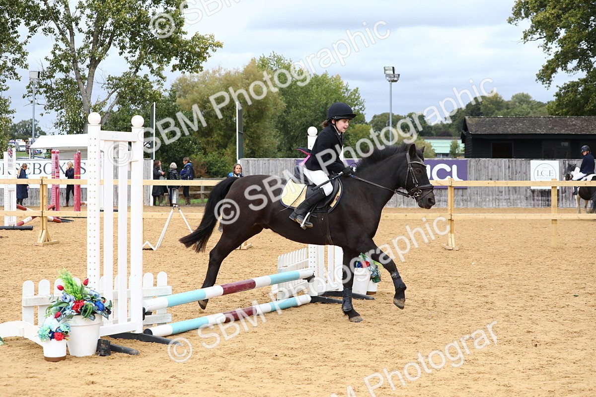SBM_68215 - J3b - Mini Tour Junior Pony 40cm Championship