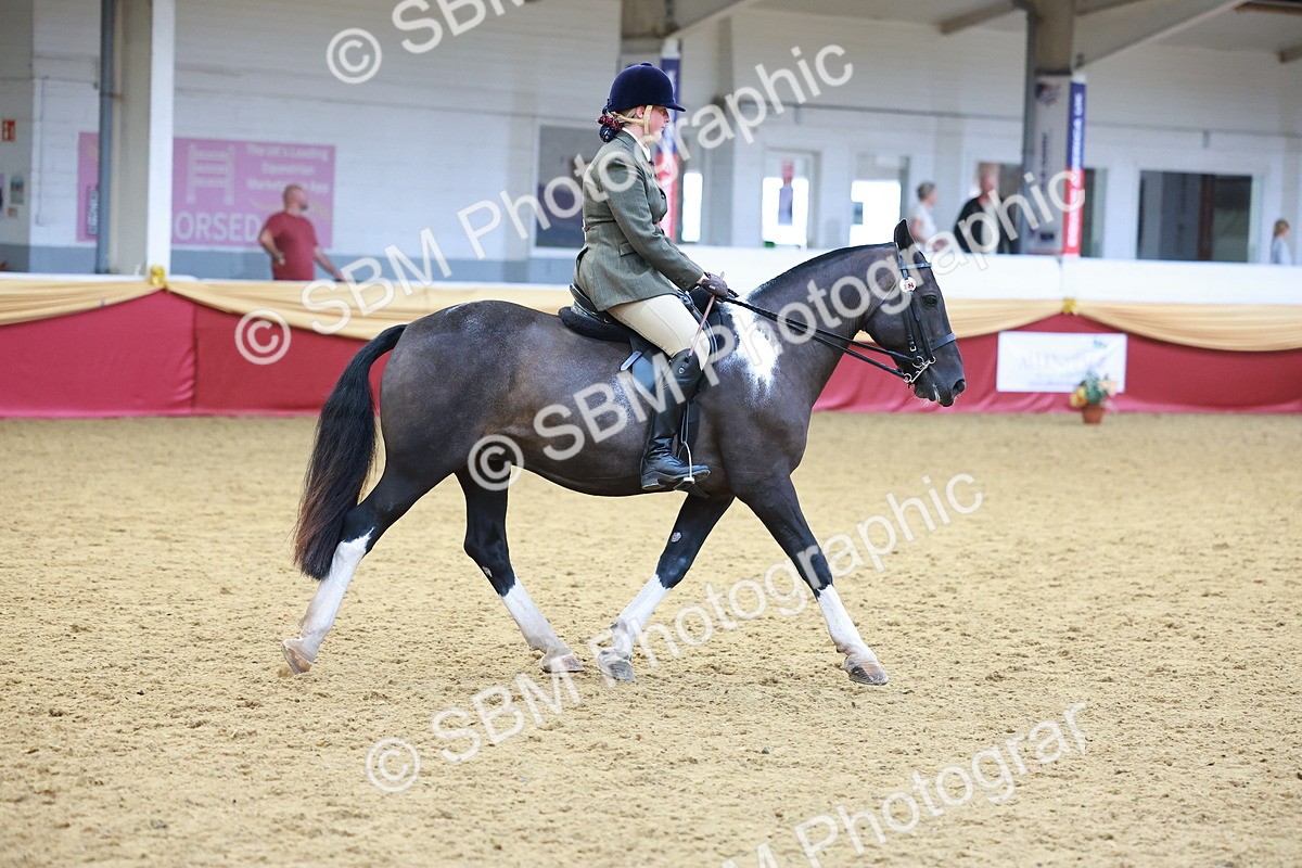SBM_06157 - Class 12R - Ridden Pre-Vet