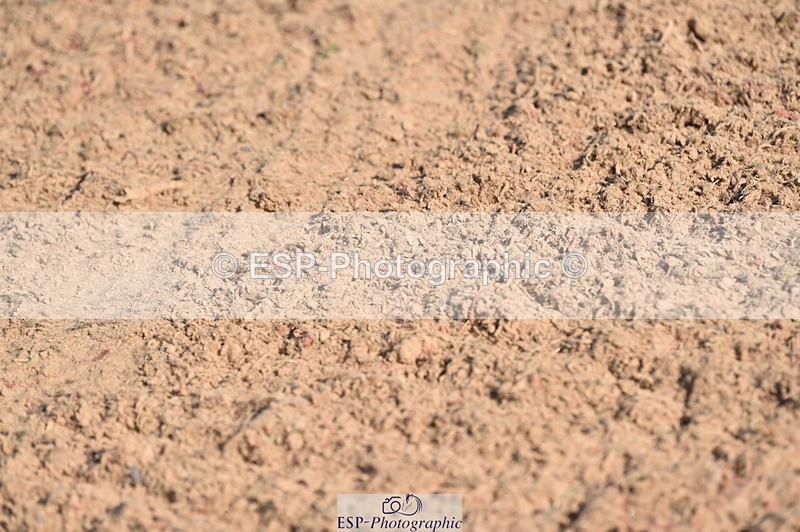 230720A-090152-01277 - Cls 25, 5 Yr Olds 1.10m