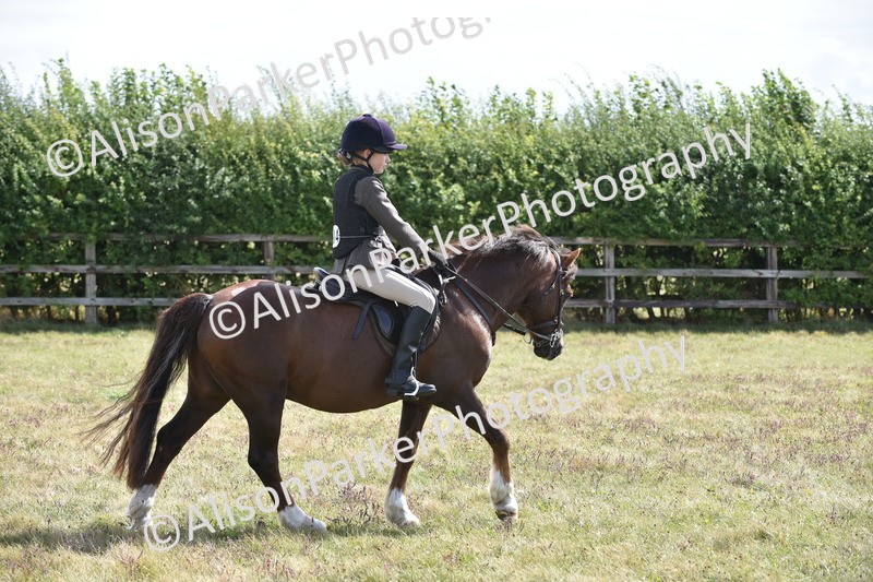 20250831-3930 - Class 11 - Working Hunter Pony 13hh and Under