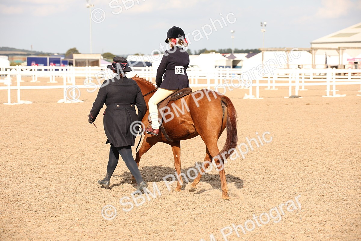 SBM_08802 - Class 12R Regional Ridden Pre-Vet