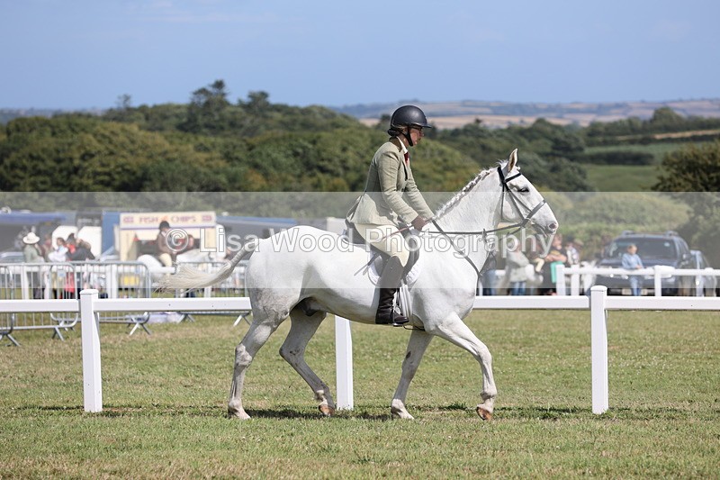 JPP_2254 - Class 19: Working Hunter 60cm