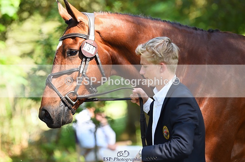 230524-160950-00729 - 264-BALLADEER_JUST_FOR_KICKS-Ellie_Healy-WEDTrotUp+DR