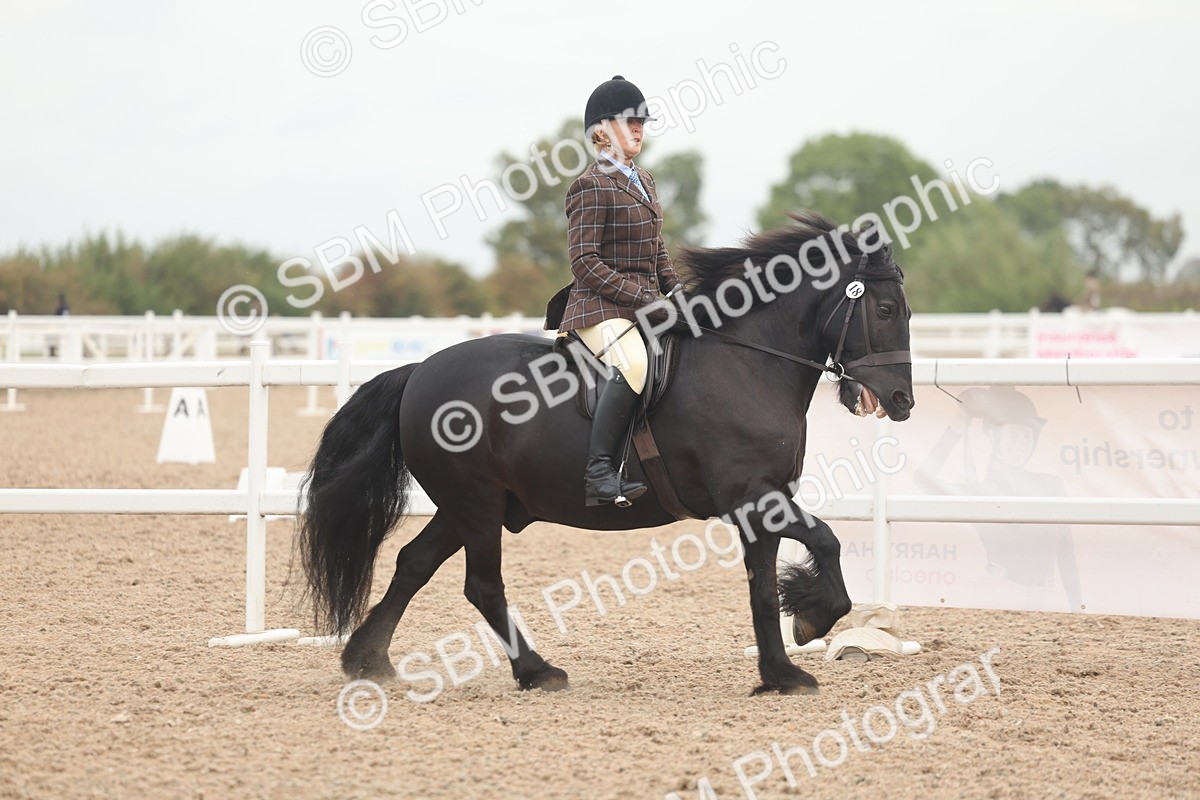 SBM_01890 - Class 14 - Ridden M&M Wildcard