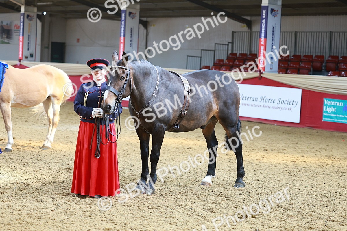SBM_13672 - Class 104 - IH  Costume
