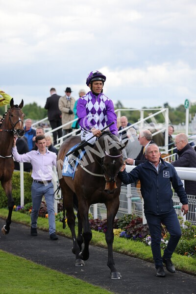 yr11052022r6-1 - Race 6 4.45pm Conundrum HR Consulting Stakes