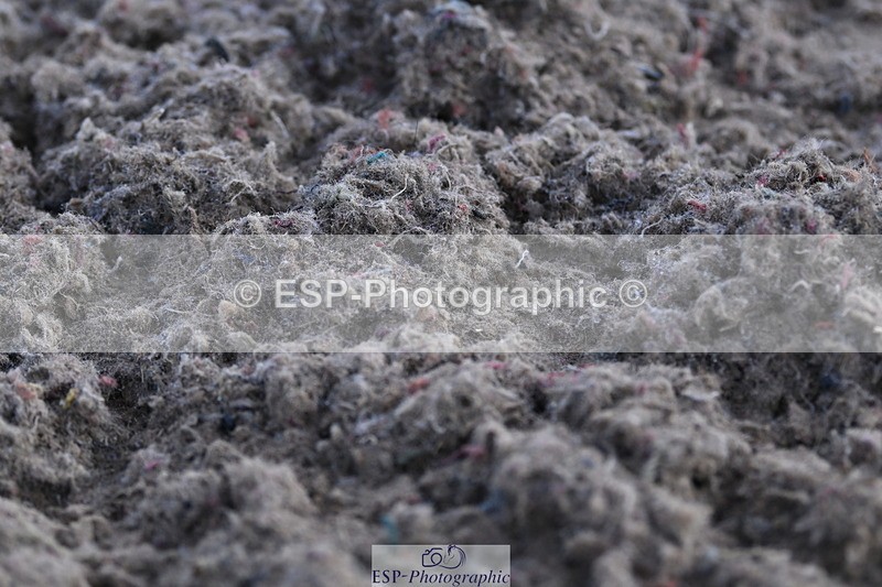 240622A-083130-06585 - Cls 25 BD Music Prelim