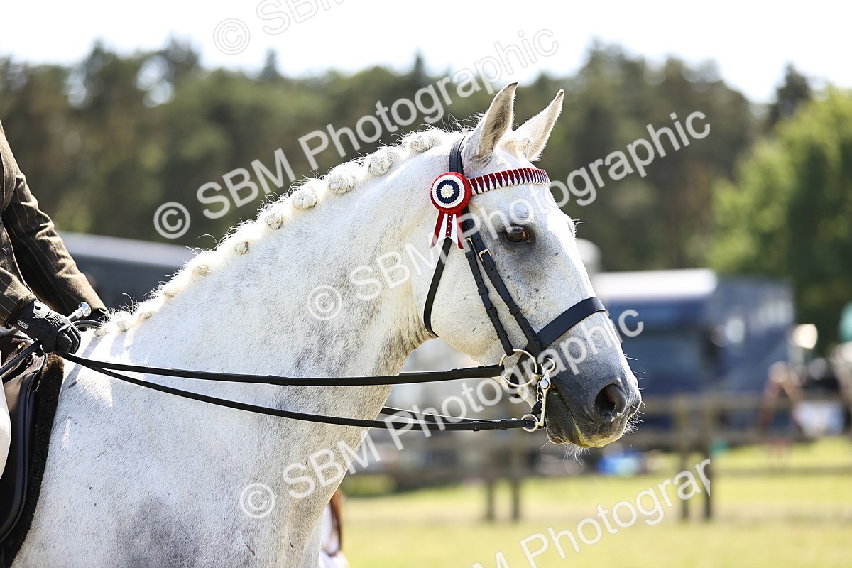 SBM_18017 - Class 81-83 - TSR Ridden Amateur of the Year - Horses