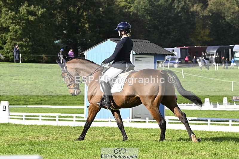 251023A-150934-04526 - E-386-Zara.Head