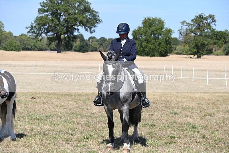 WJ6_9072 - Class 38 Ridden Riding Horse/Pony
