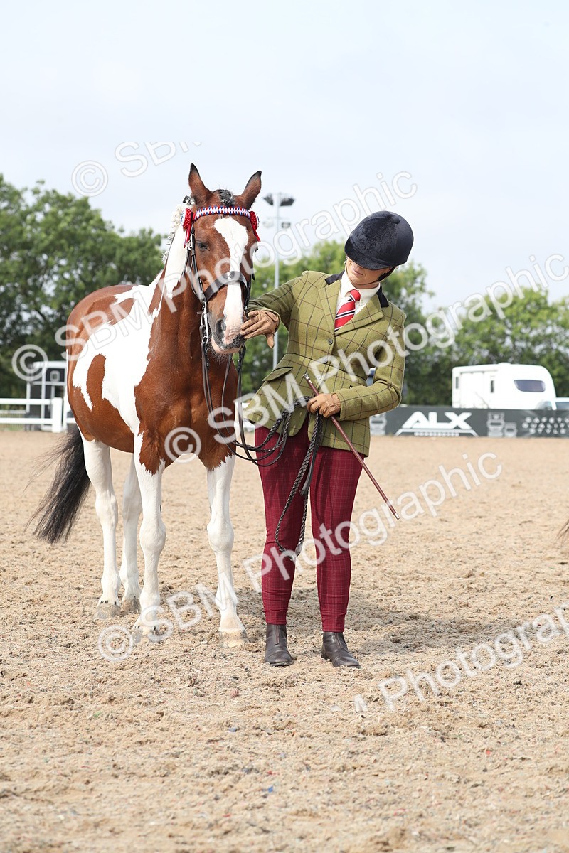 SBM_23172 - Class 605 - 2025 Area - IH Veteran