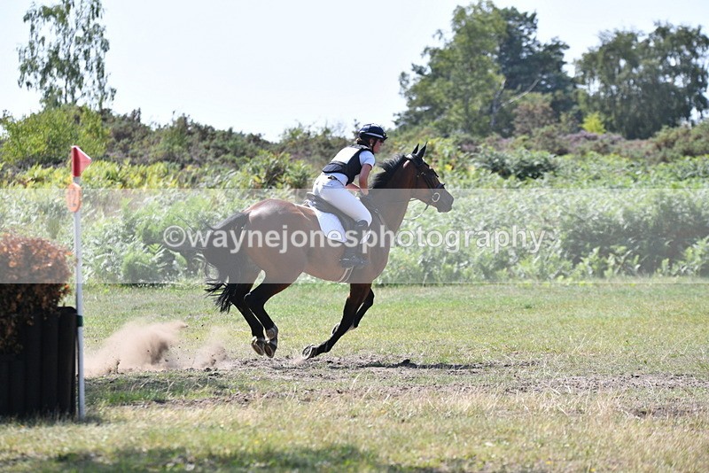 WJ5_3474 - XC Time 13:30 to 14:00