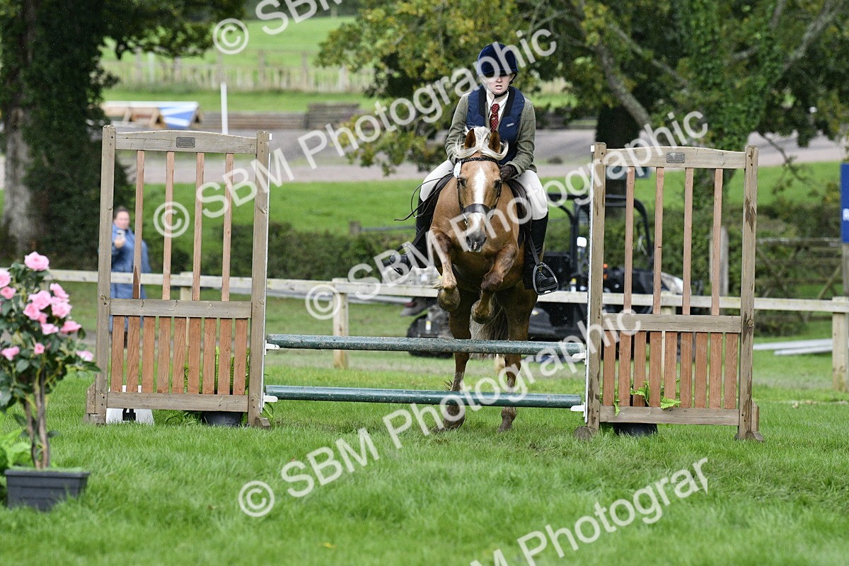 SBM_42235 - S32 - Mountain & Moorland Working Hunter Pony
