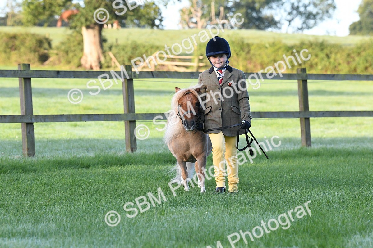 SBM_32613 - S15 - Condition & Turnout In Hand