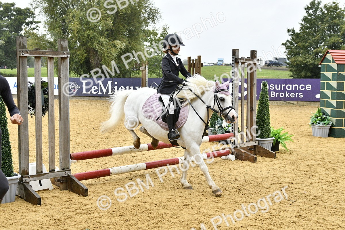 SBM_70895 - J3 - Mini Tour Junior Pony 40cm championship