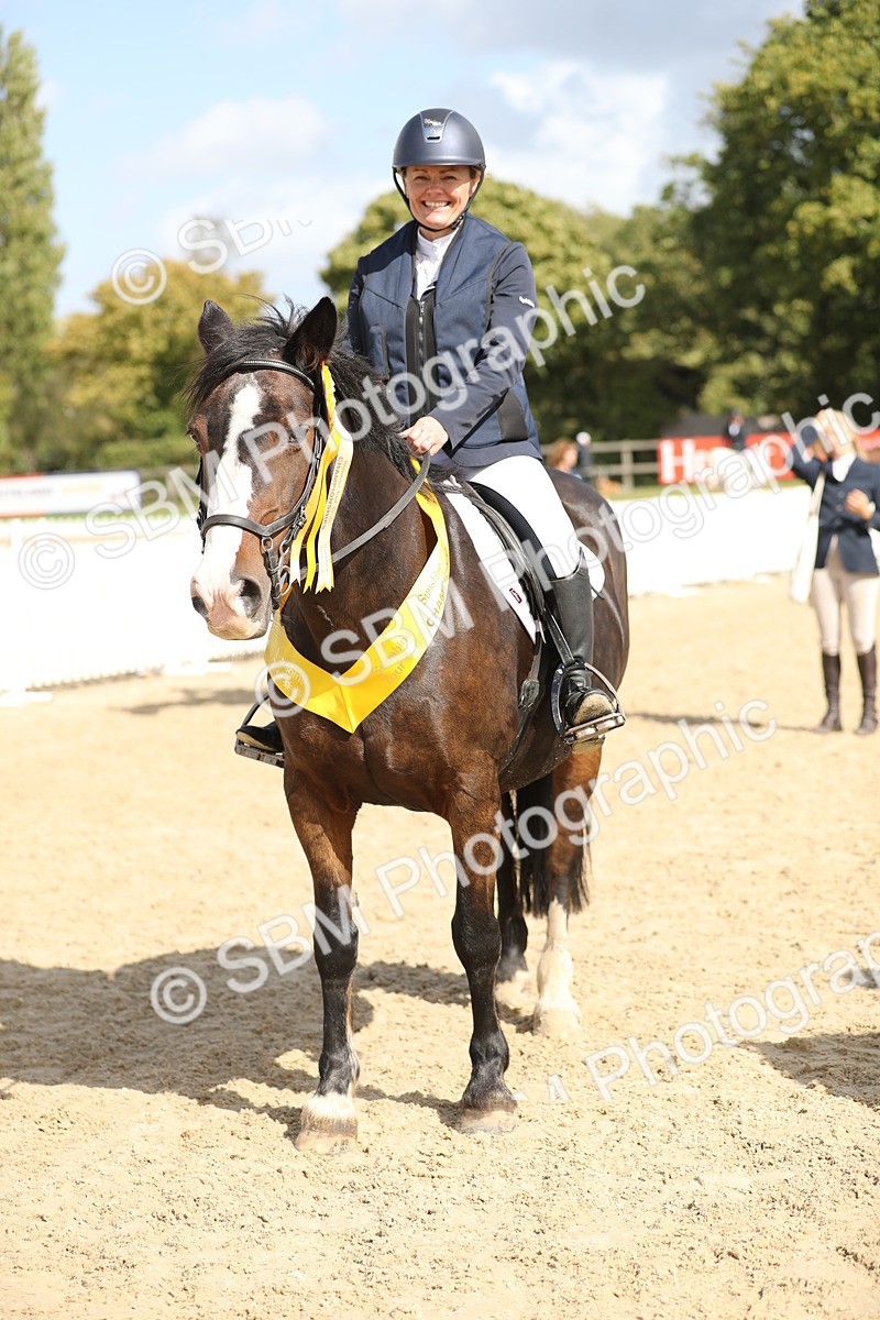 SBM_06522 - J29 - Senior Horse & Pony 65cm Championship