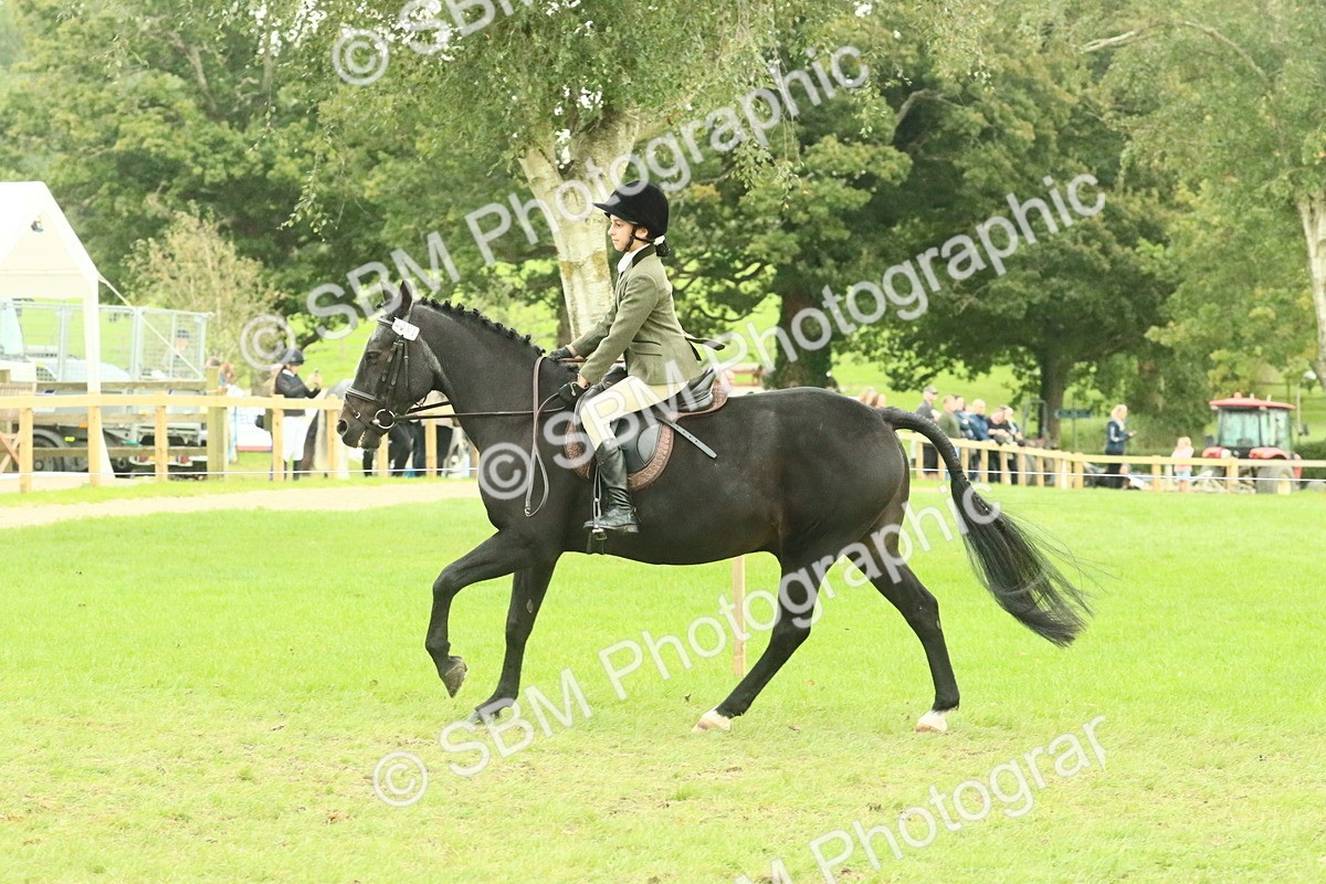 SBM_73987 - S 61 - Show Pony & Show Hunter Pony Ridden