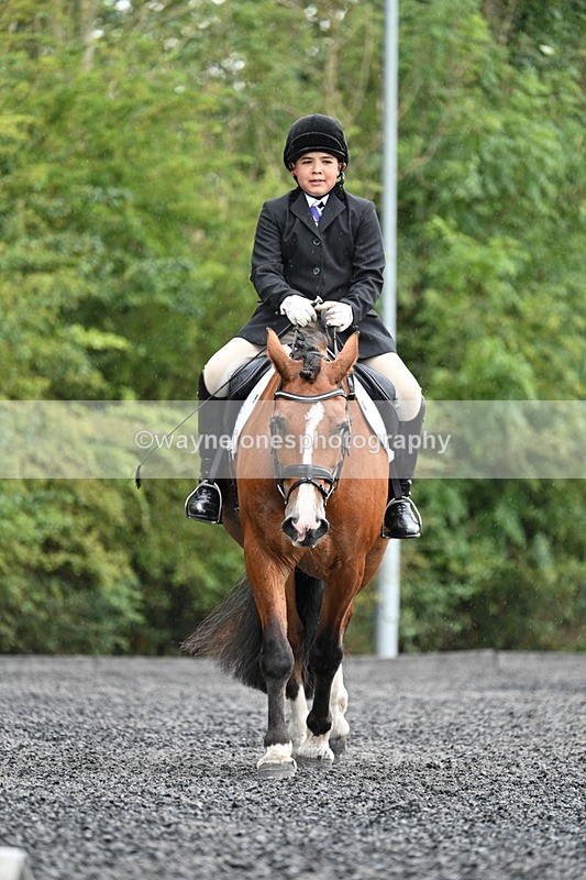 WJ7_6169 - Time 11:38 to 12:03