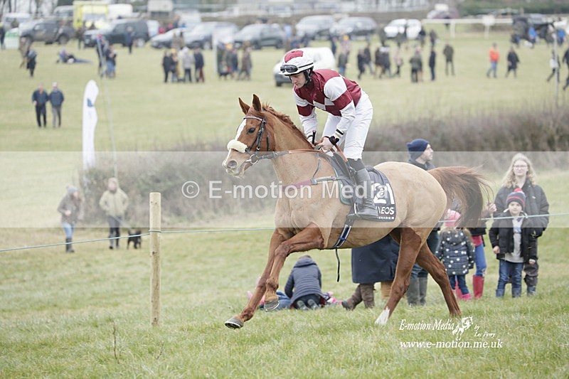PtP 040323 438 - Duke of Beauforts Hunt Point-to-Point Didmarton 04/03/23