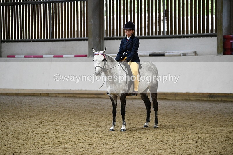 WJ5_8063 - Class 13 Ridden Part Breed