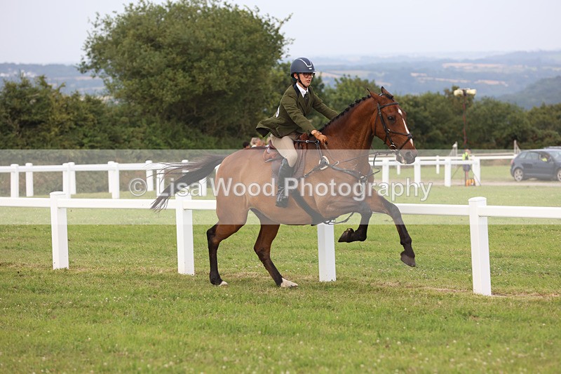 JPP_4453 - Class 26: Working Hunter 1m