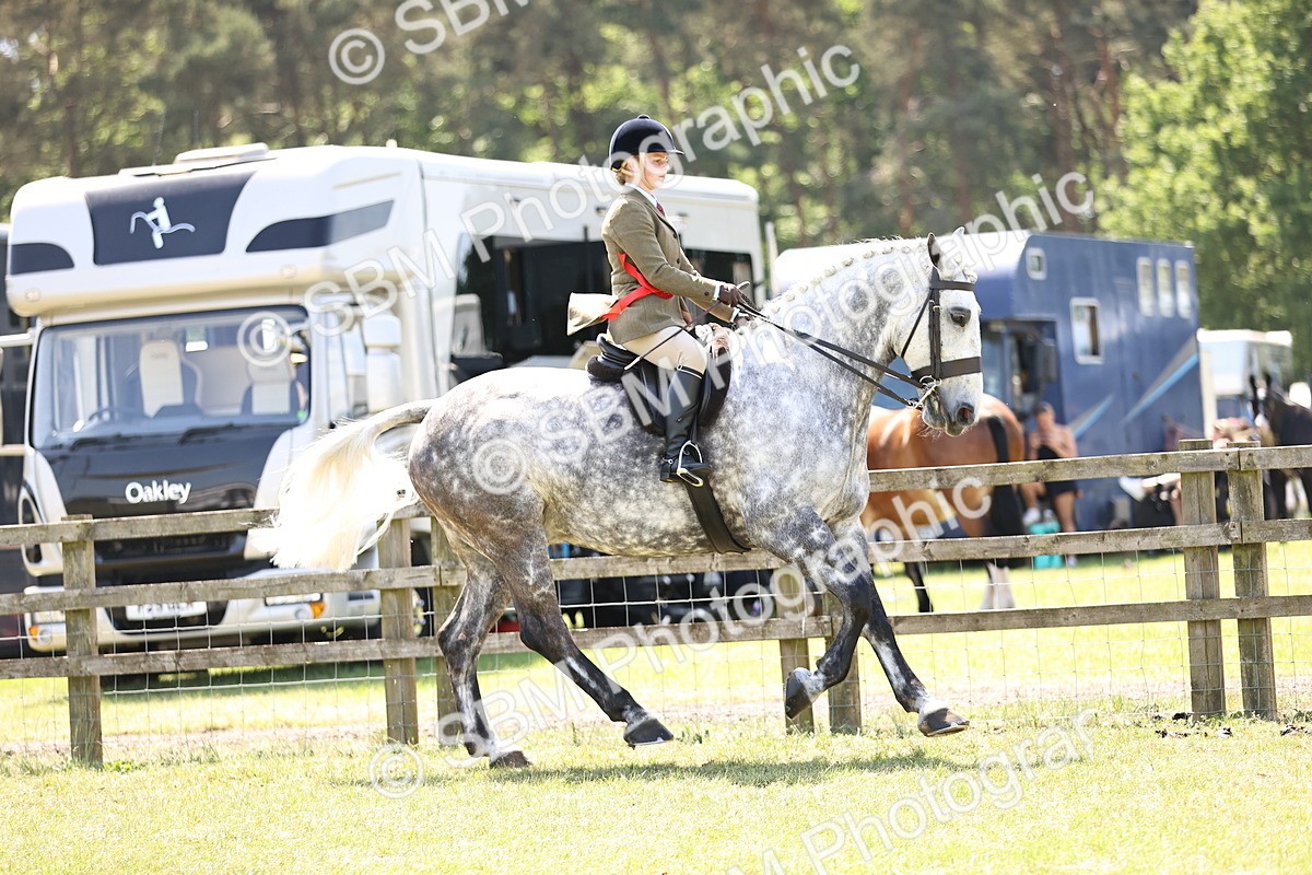 SBM_16190 - Class 79-80 - LIHS BSHA Rising Star Ridden Hunter