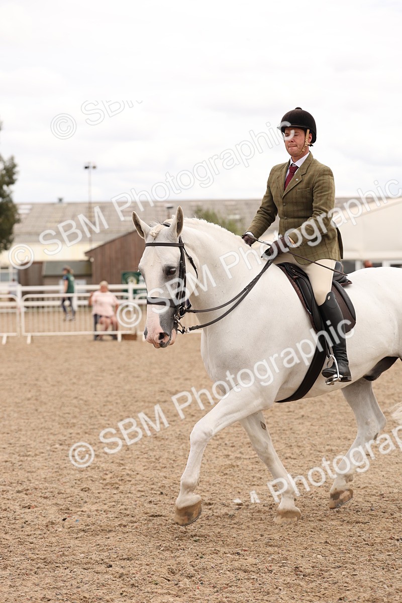 SBM_17227 - Class 213 - Ridden Hunter - Large