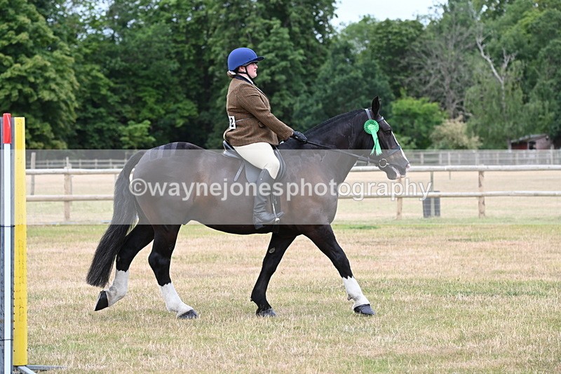 WJ6_4092 - Class 9 Tack & Turnout