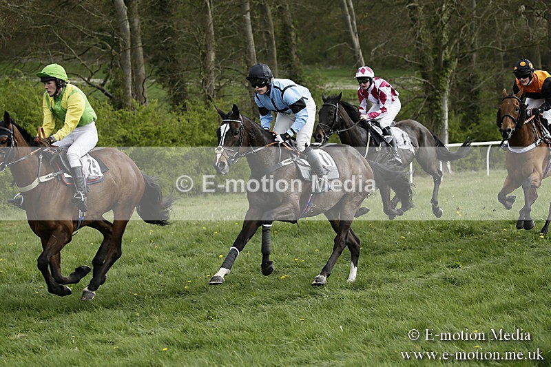 PtP 170417 335 - Old Berks Point-to-Point Lockinge 17/04/17