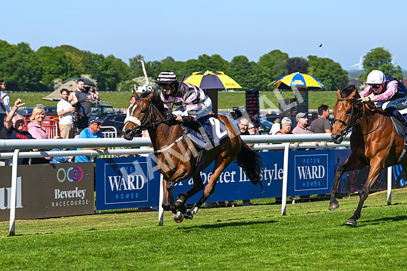 130525-Race 5-Kimeko Glory-0259 - Race 5