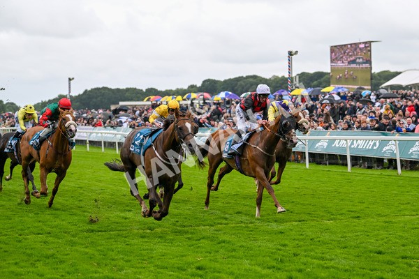 130724-Race 1-Blue For You-6954 - Race 1 2.00pm John Smith's Racing Handicap