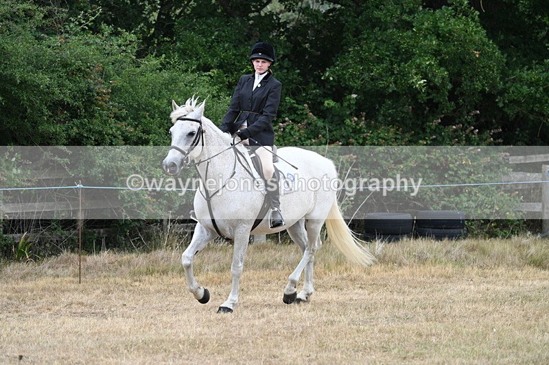 WJ7_0939 - Class 7 Riding Club Show Horse