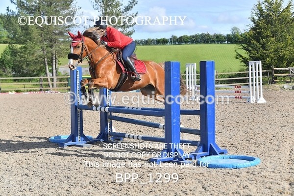 BPP_1299 - CLASS 2 Club/ Unaffiliated 80cms Open
