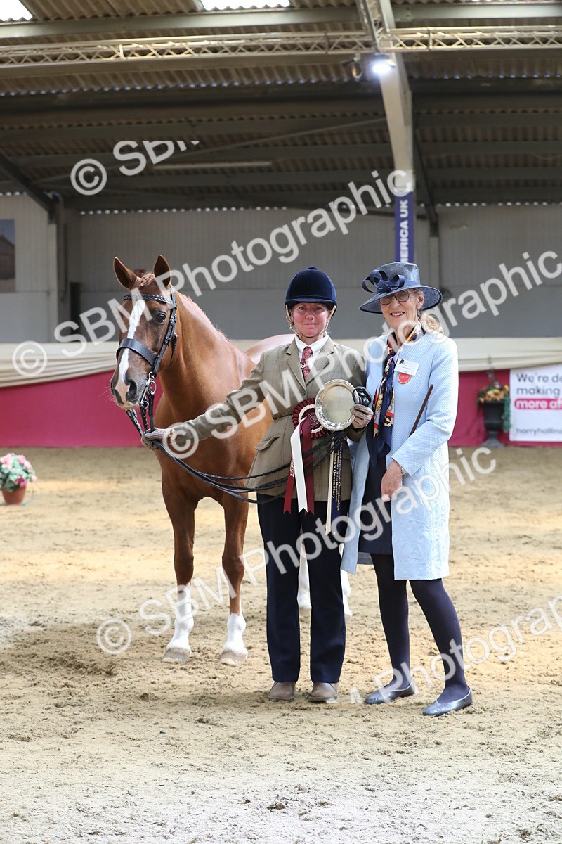 SBM_04459 - Class 7R Regional - IH Diamond