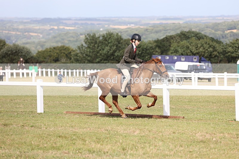 JPP_2932 - Class 20: Working Hunter 70cm