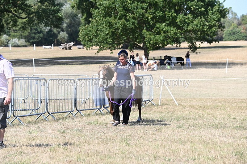 WJ6_9475 - Class 40 Cheekiest Pony/Horse